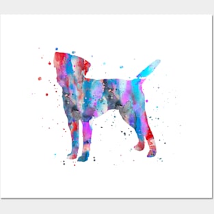 Border Terrier Posters and Art